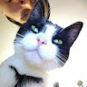 Meet your Posher, Andi